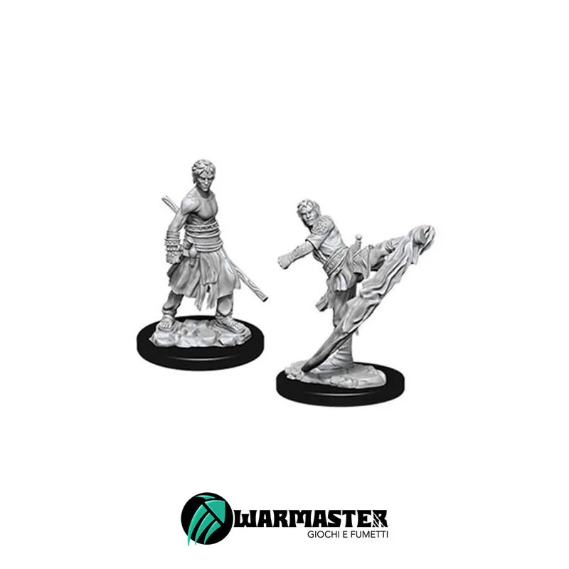 nolzur-s-marvelous-miniatures-half-elf-male-monk
