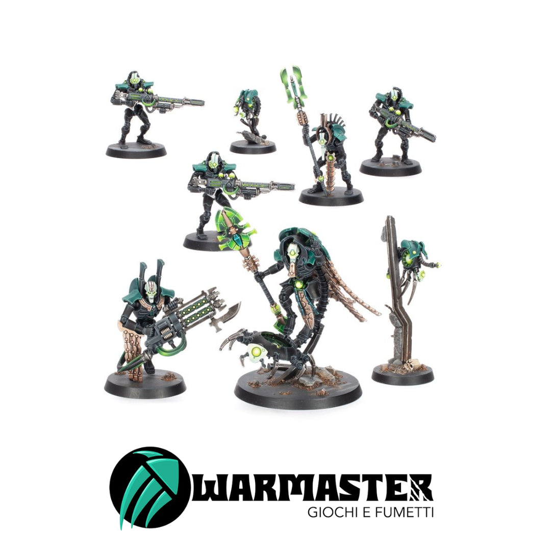 Immagini per Sito – 2024-12-10T194512.228