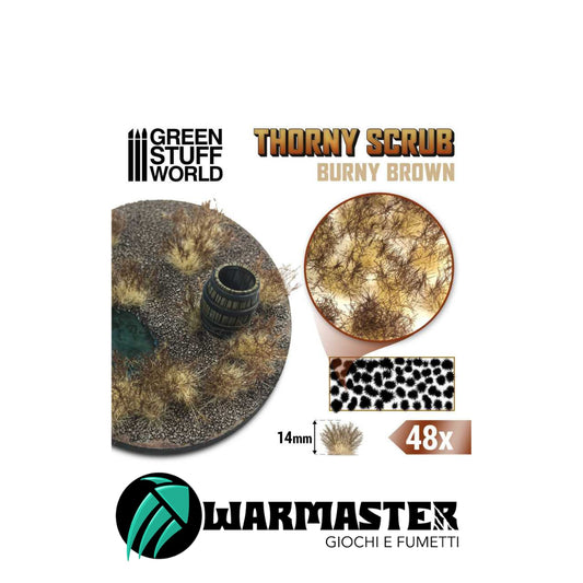 Immagini per Sito – 2024-03-28T124247.882