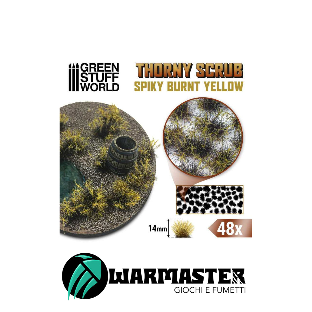 Immagini per Sito – 2024-03-28T124454.736