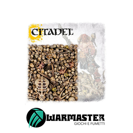 Immagini per Sito – 2024-06-13T130746.542