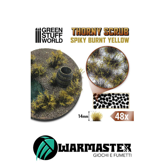 Immagini per Sito – 2024-08-19T122628.593